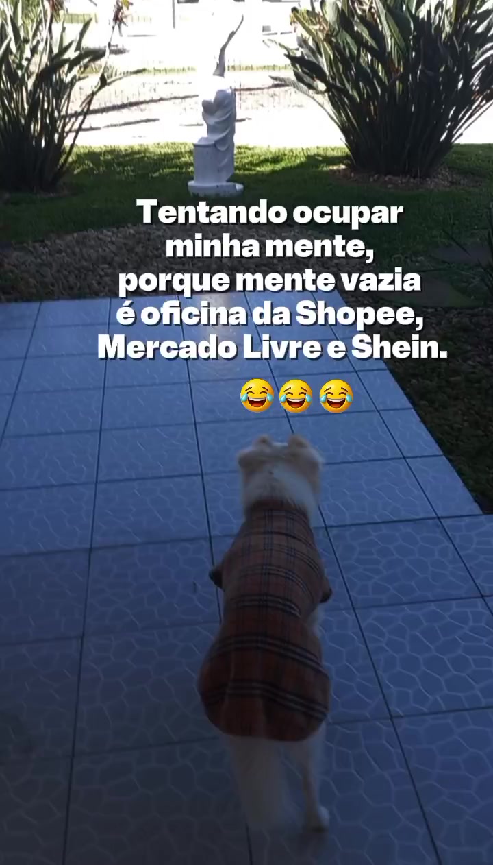 @Dogsitter