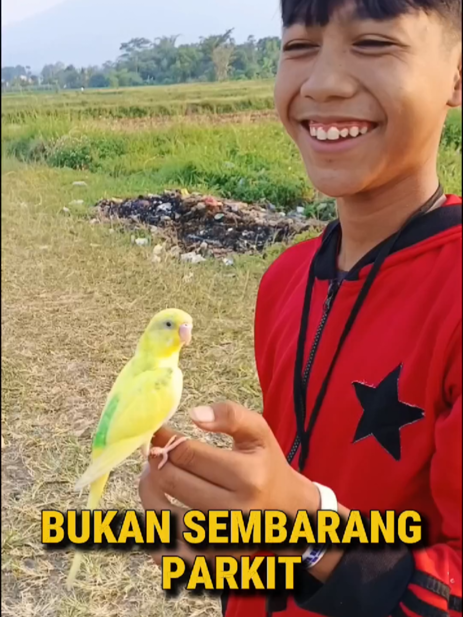 @BANG LEYON