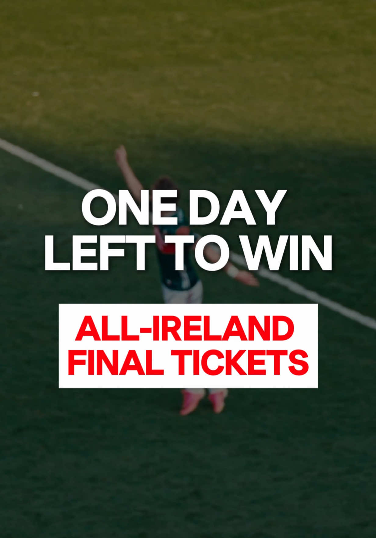 @MayoGAA
