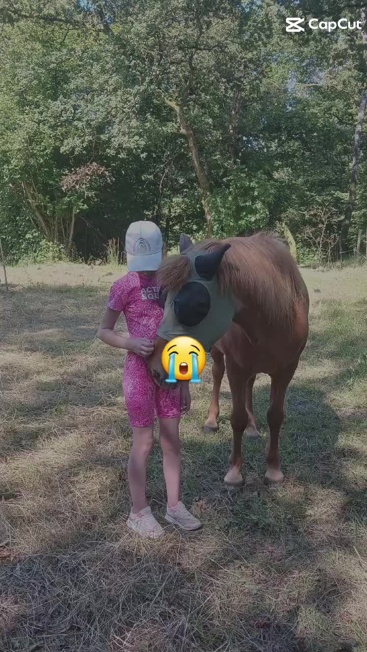 @🐴sophie🐴