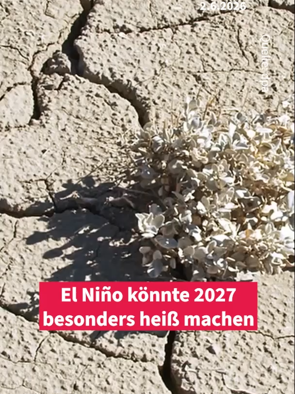 @Frankfurter Allgemeine
