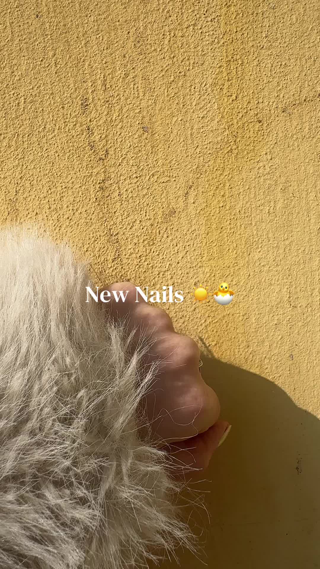@TravelwithBengi