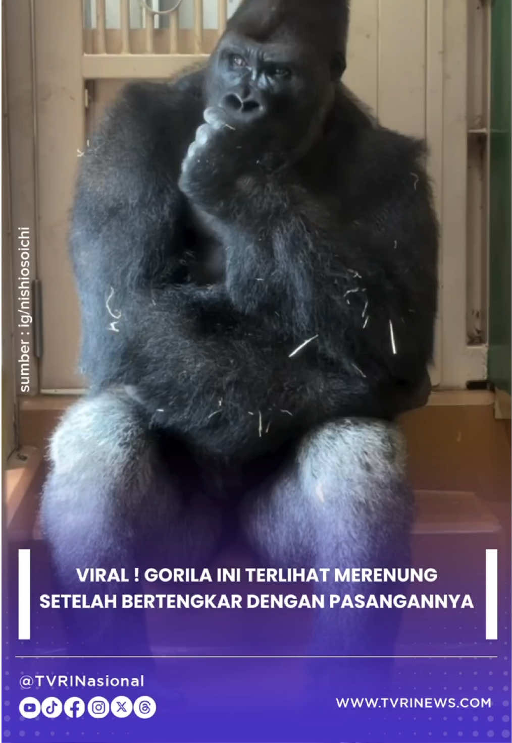 @tvrinasional