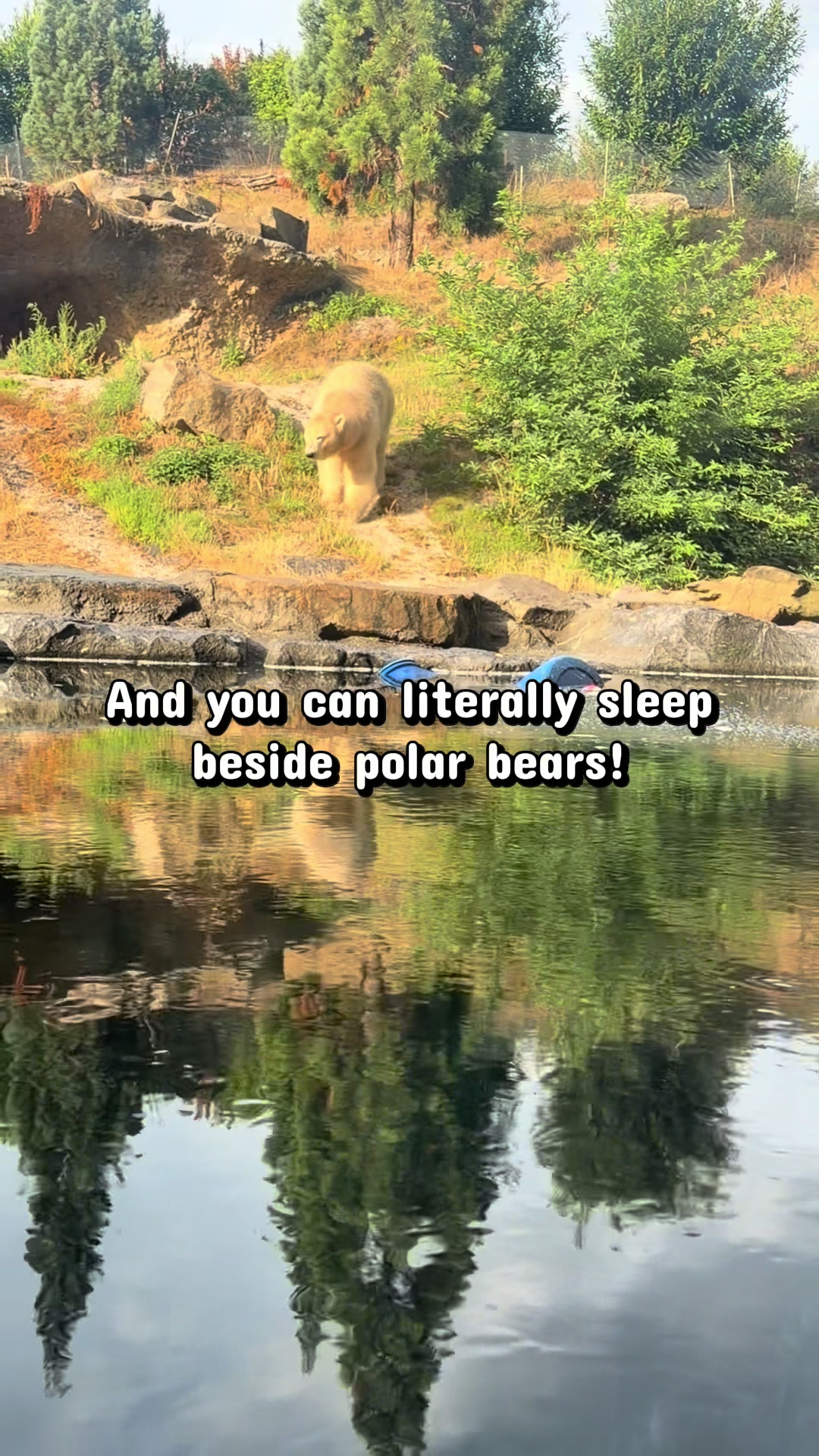 @Shannon | Your Travel Bestie