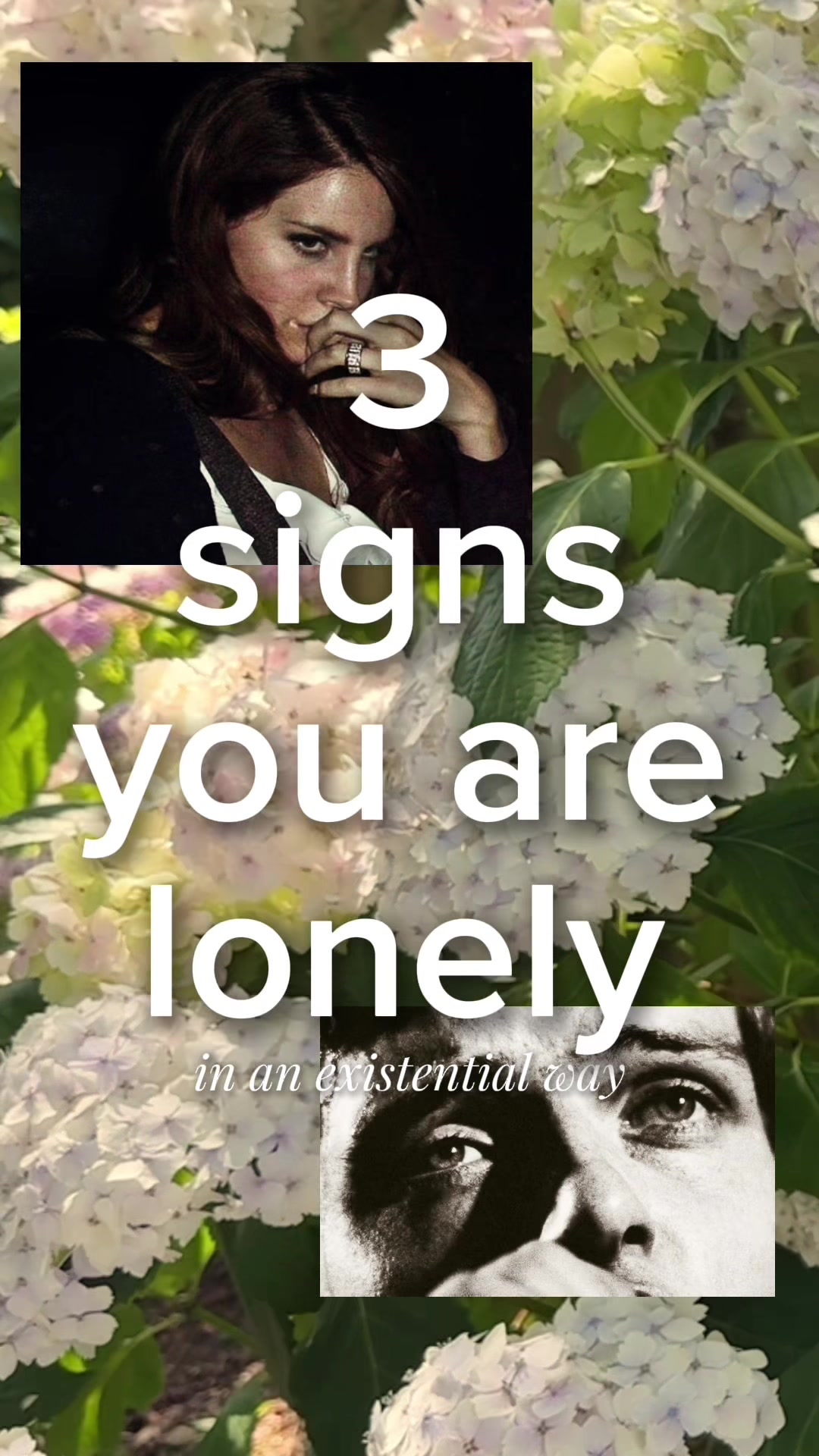 @lauren