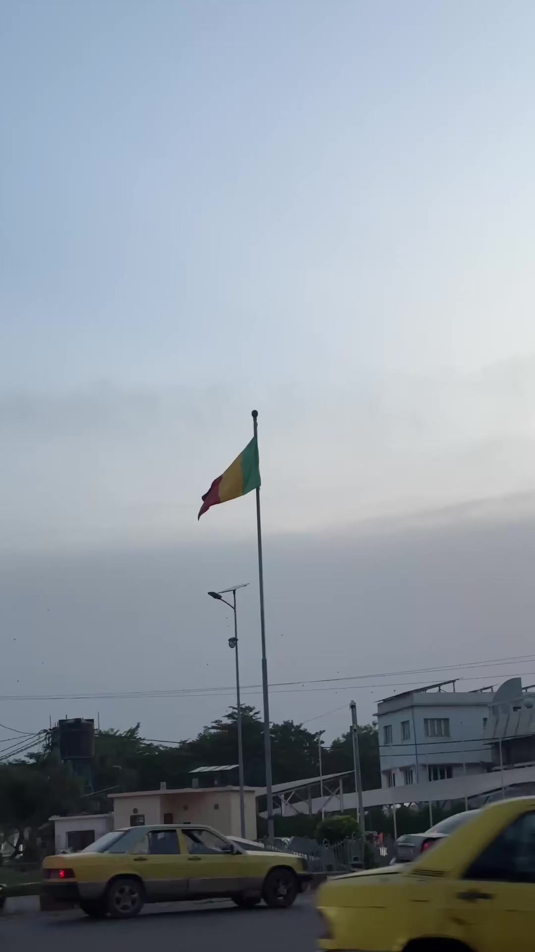 @Teammalian