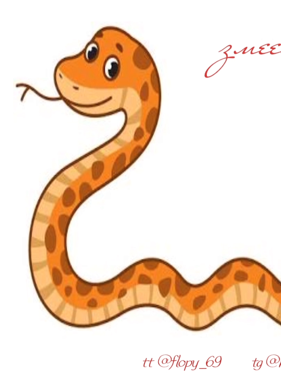 @✶𓆗٭𝑴𝒂𝒄я 𝑴𝒂𝒌𝒊𝒔⏤͟͟͞͞🐍