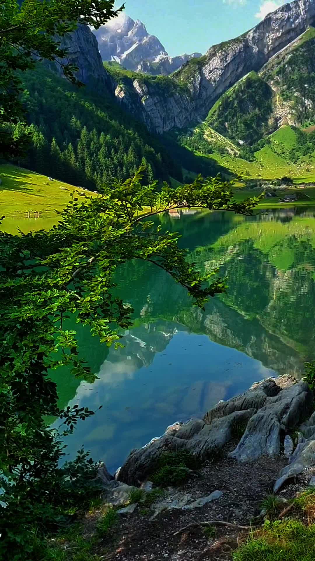 @btswiss