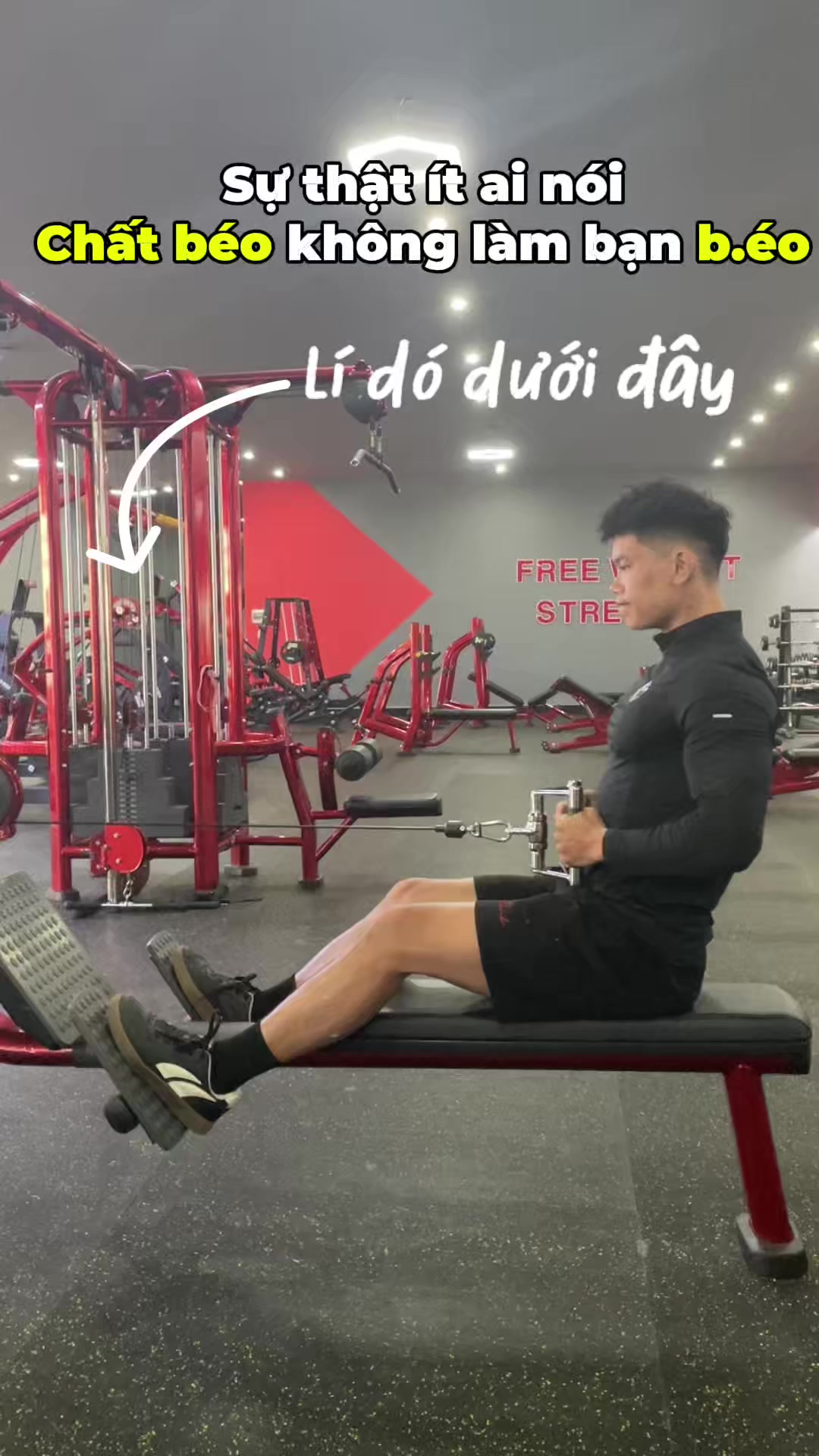 @ThinhSteven