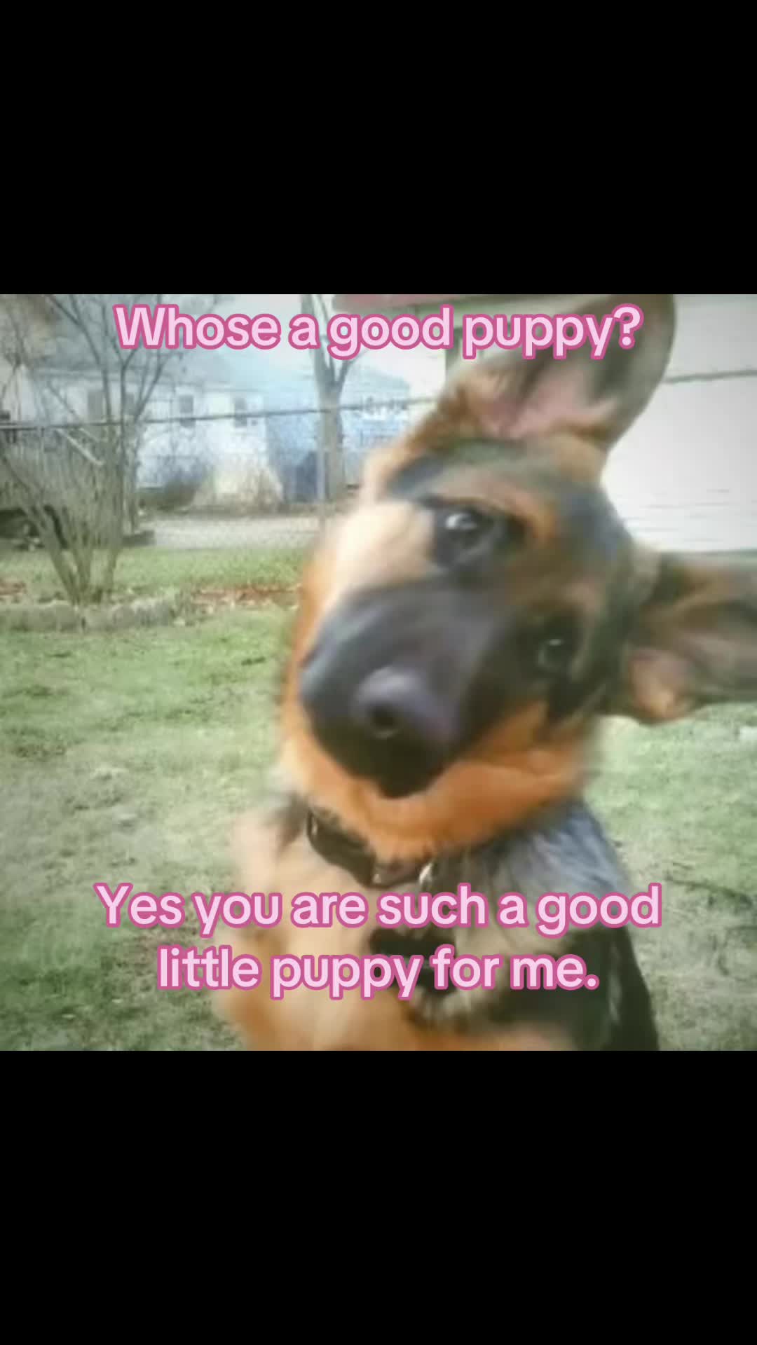 @_xxvzvxx_