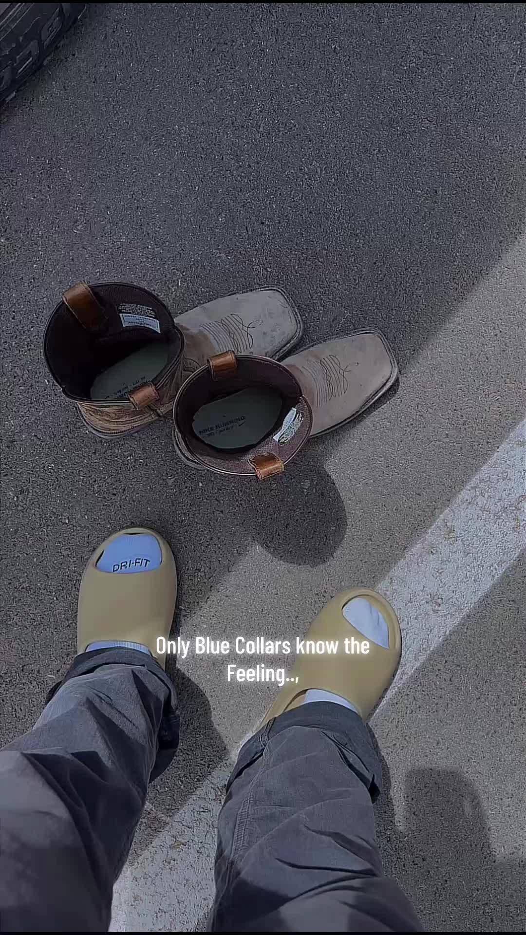 @Jimbo🔥🦍