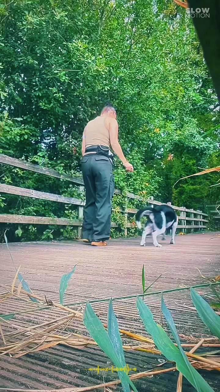 @𓃦 𝓣𝓱𝓮 ❤️ 𝓕𝓸𝔁𓃦