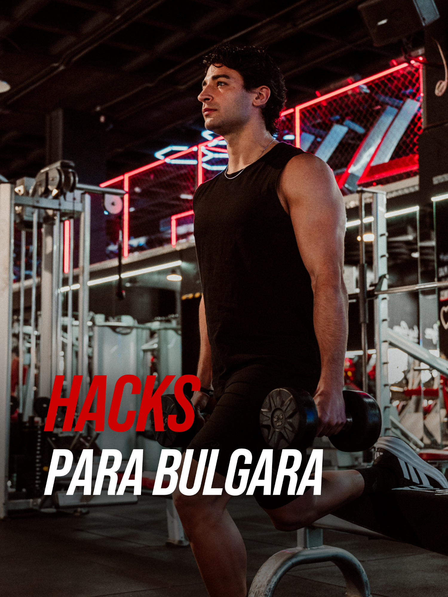 @Holiday Gym