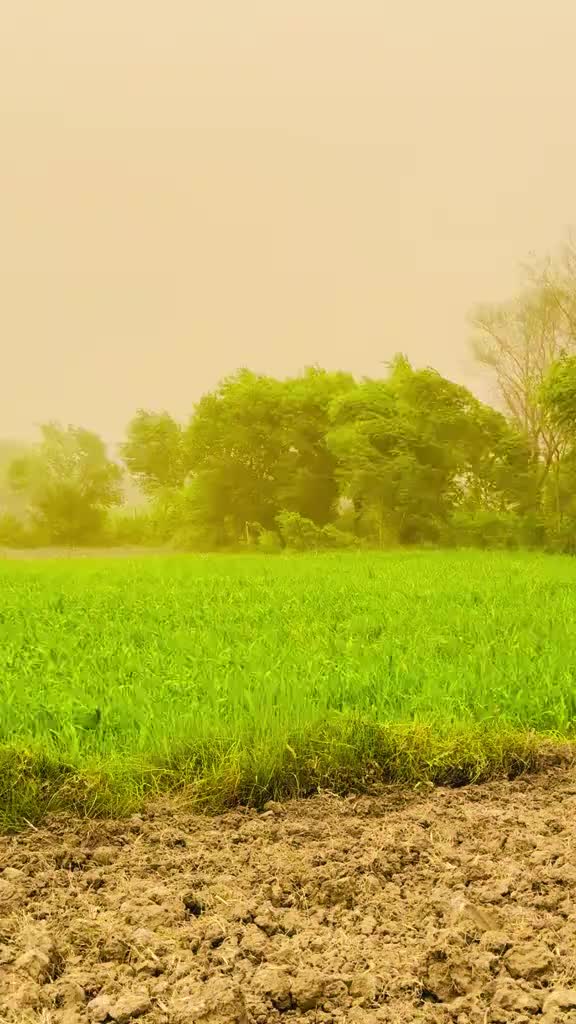 @🥷Malik Usman Khokhar 🥷🦅🦅