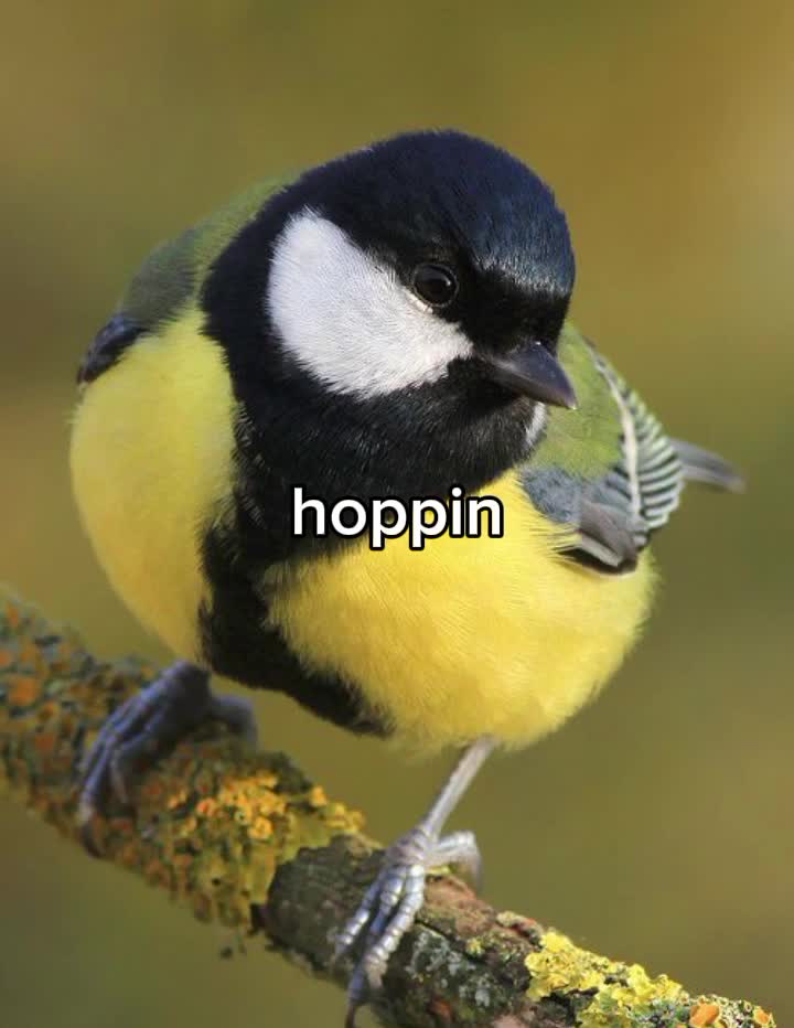 @Embrex 𓂃🪶⋆ ⌗1 Nigel fan ᵎᵎ