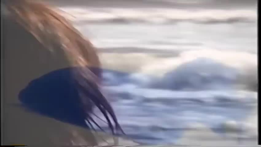 @◉_◉
