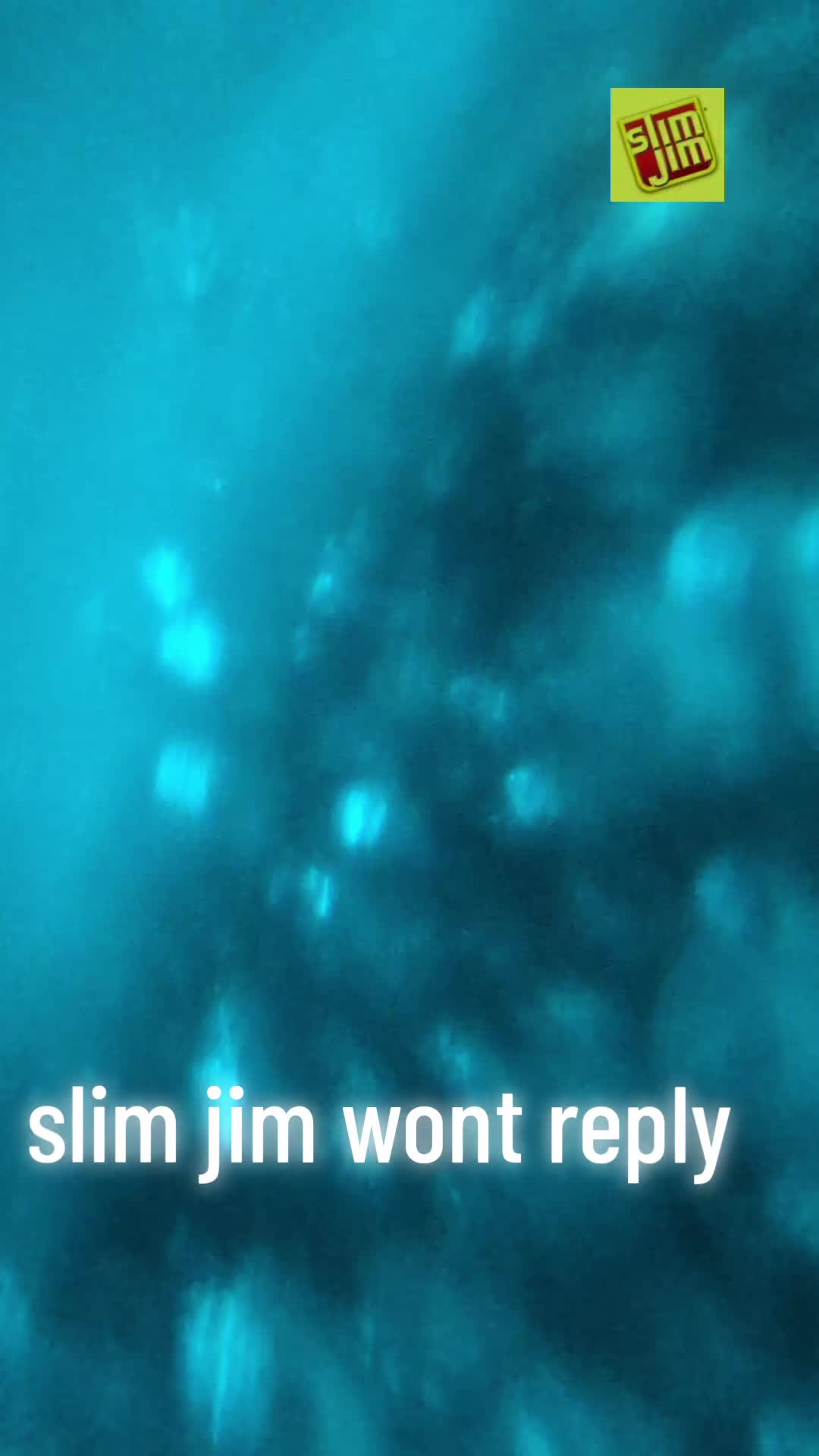 @NUFC_AUSTIN