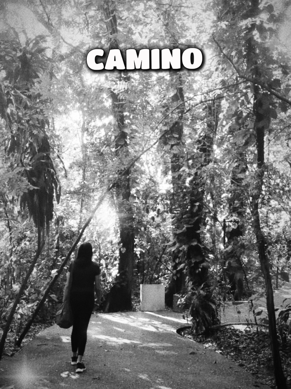 @Ale Incl&aacute;n, Decidora de poemas