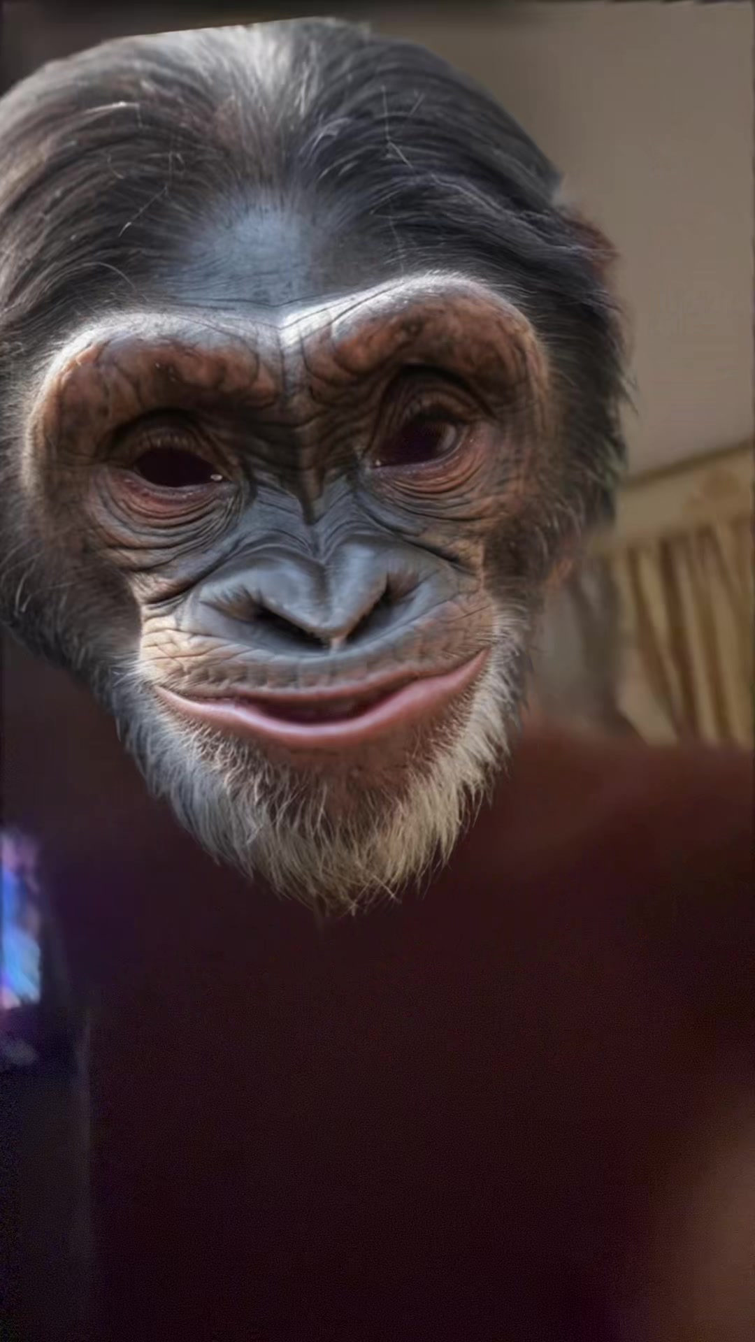 @♥️Gresy&MassyGiuseppe&Seby♾️🐒