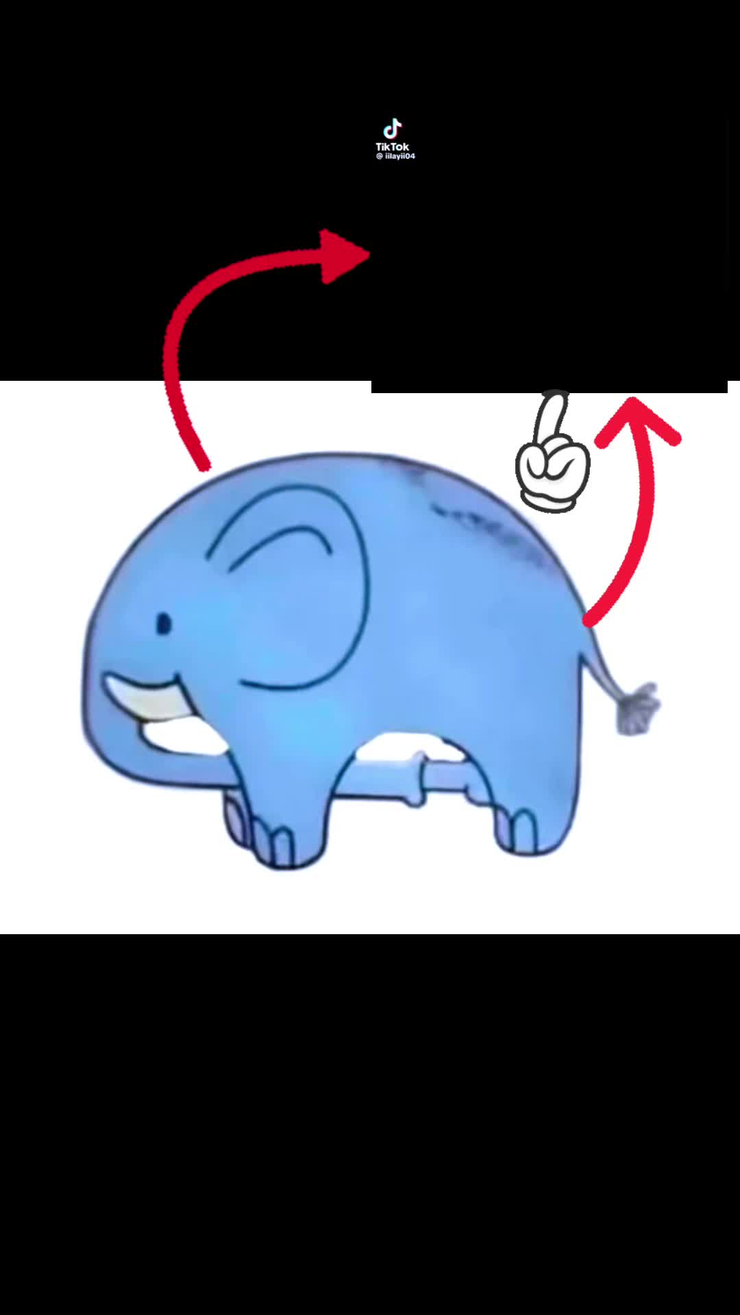 @drouteds