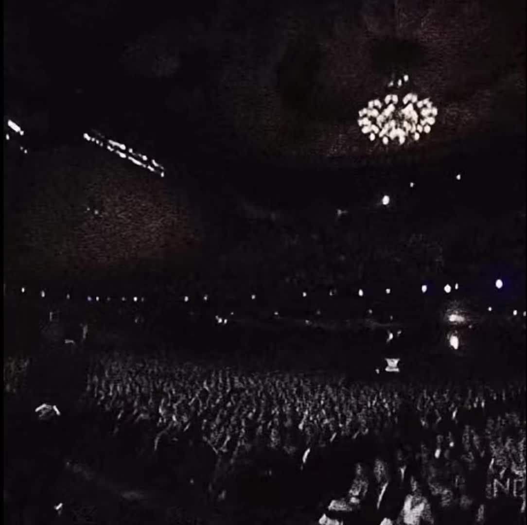 @vdkdjdbd