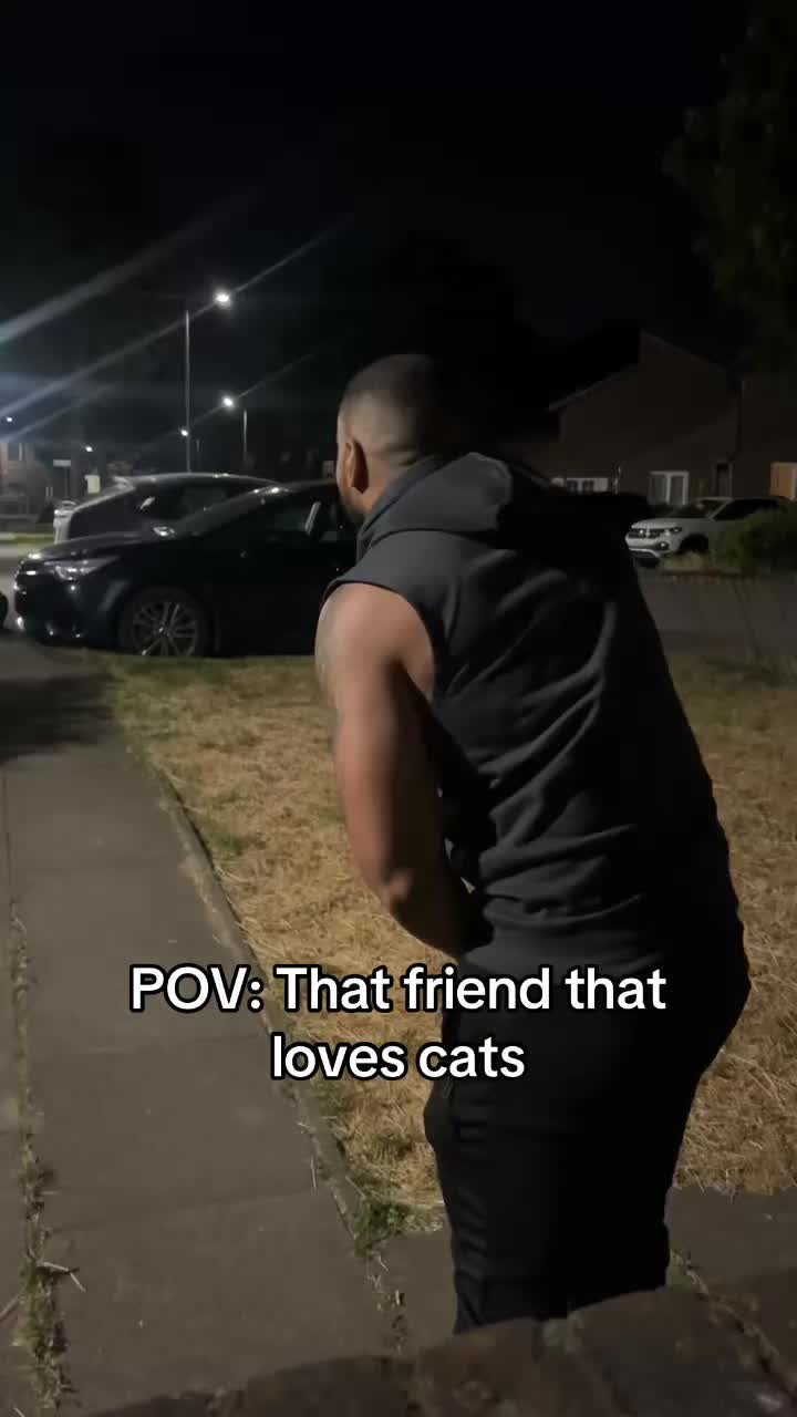 @mikeyalexandre