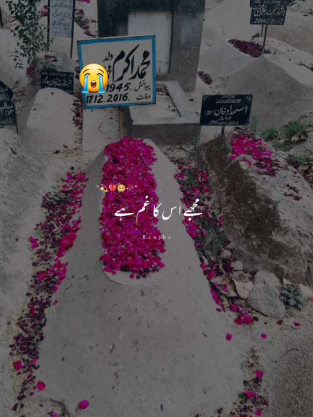 @💖zia _editz 💖