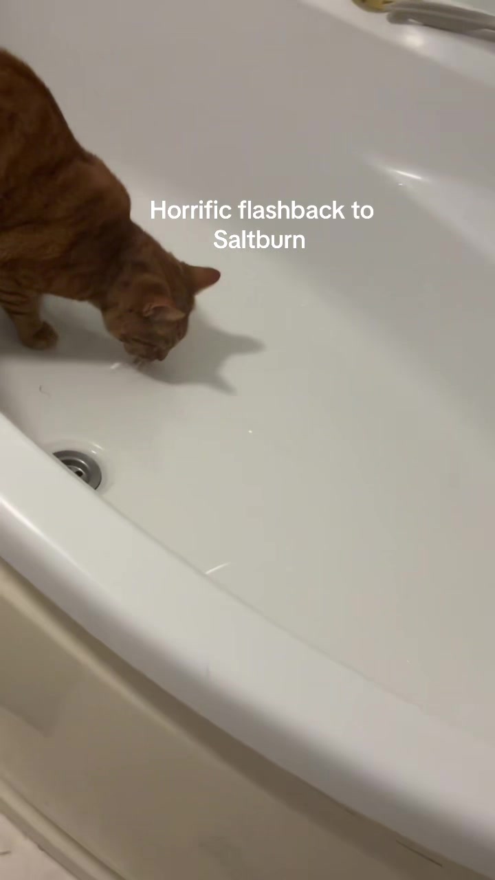 @SAUCYSUE