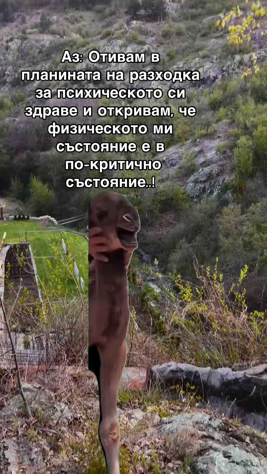 @Десислава Ганчева
