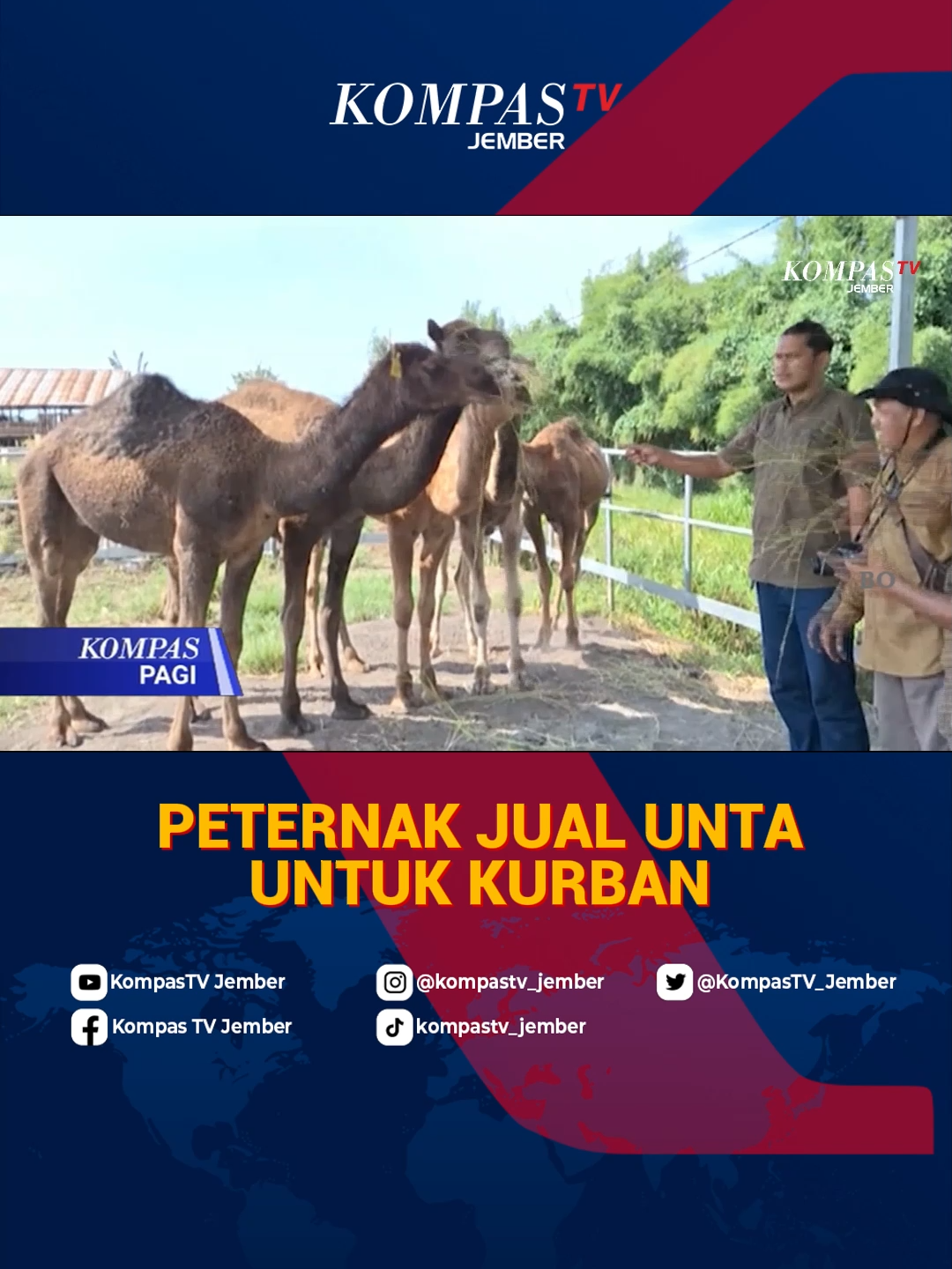 @KOMPASTV_JEMBER