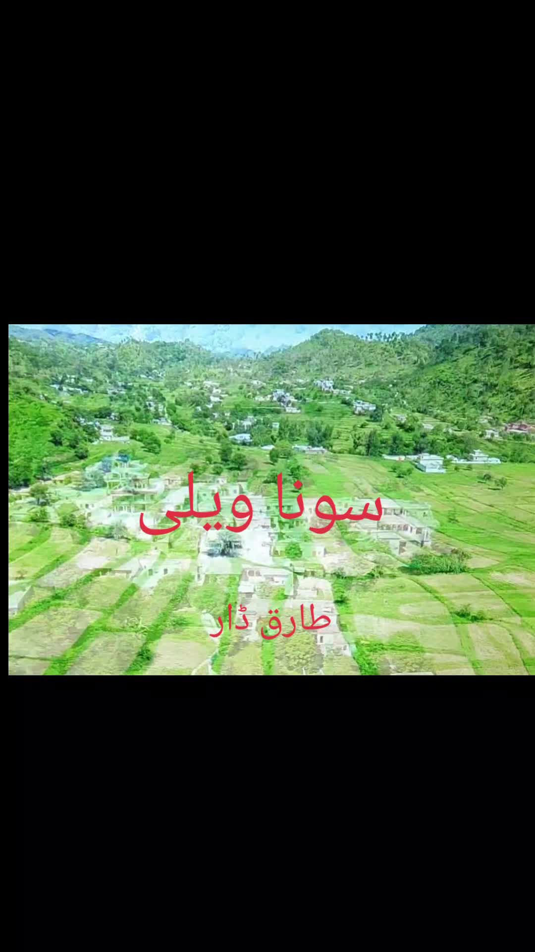 @Tariq Dar