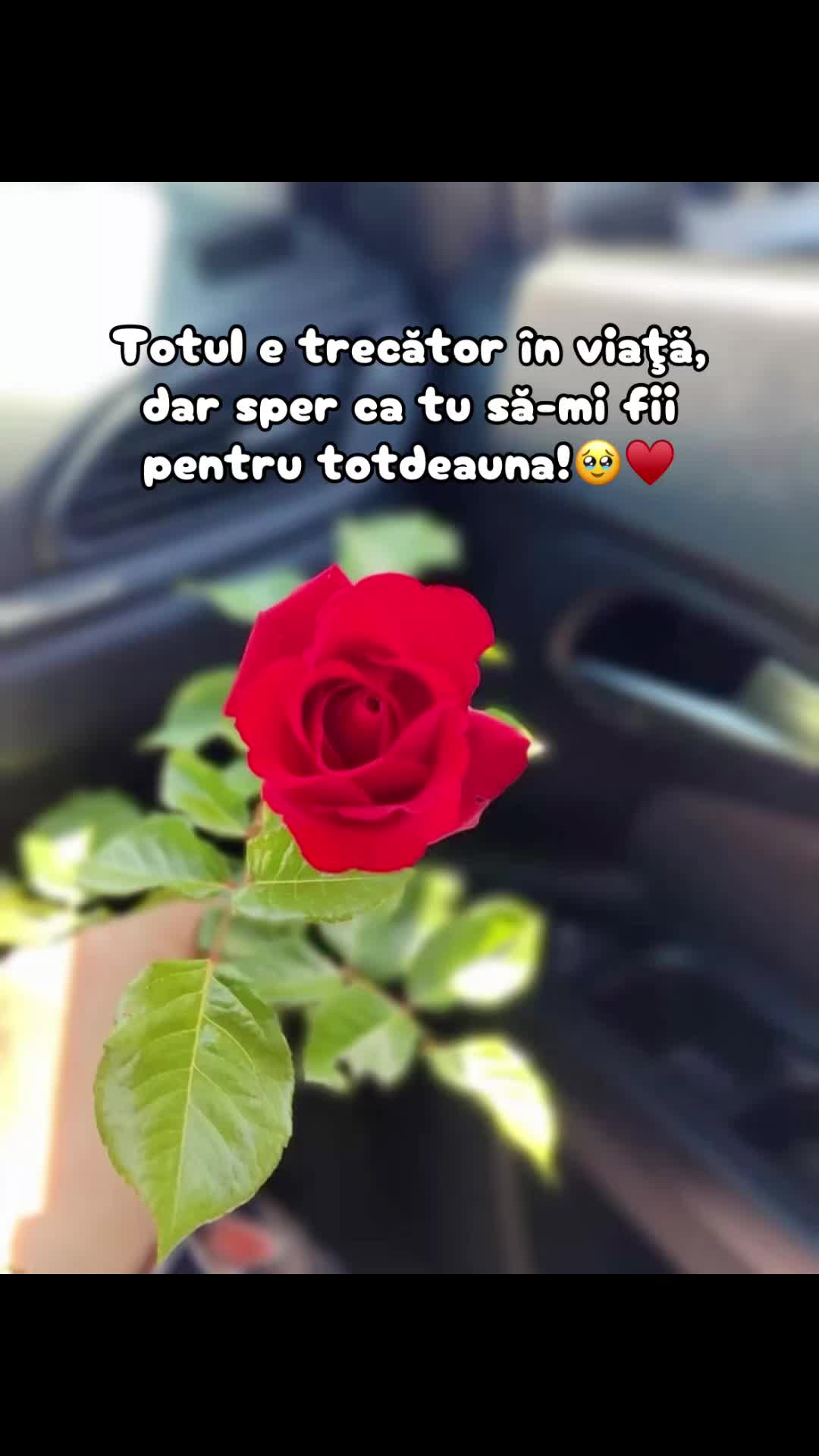 @๐๐๐น๐โฏโฏ๐ถ๐ผ๐ง