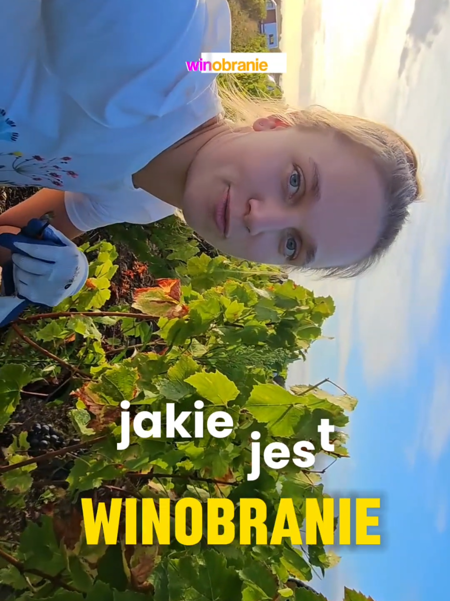 @zadarmochcenie