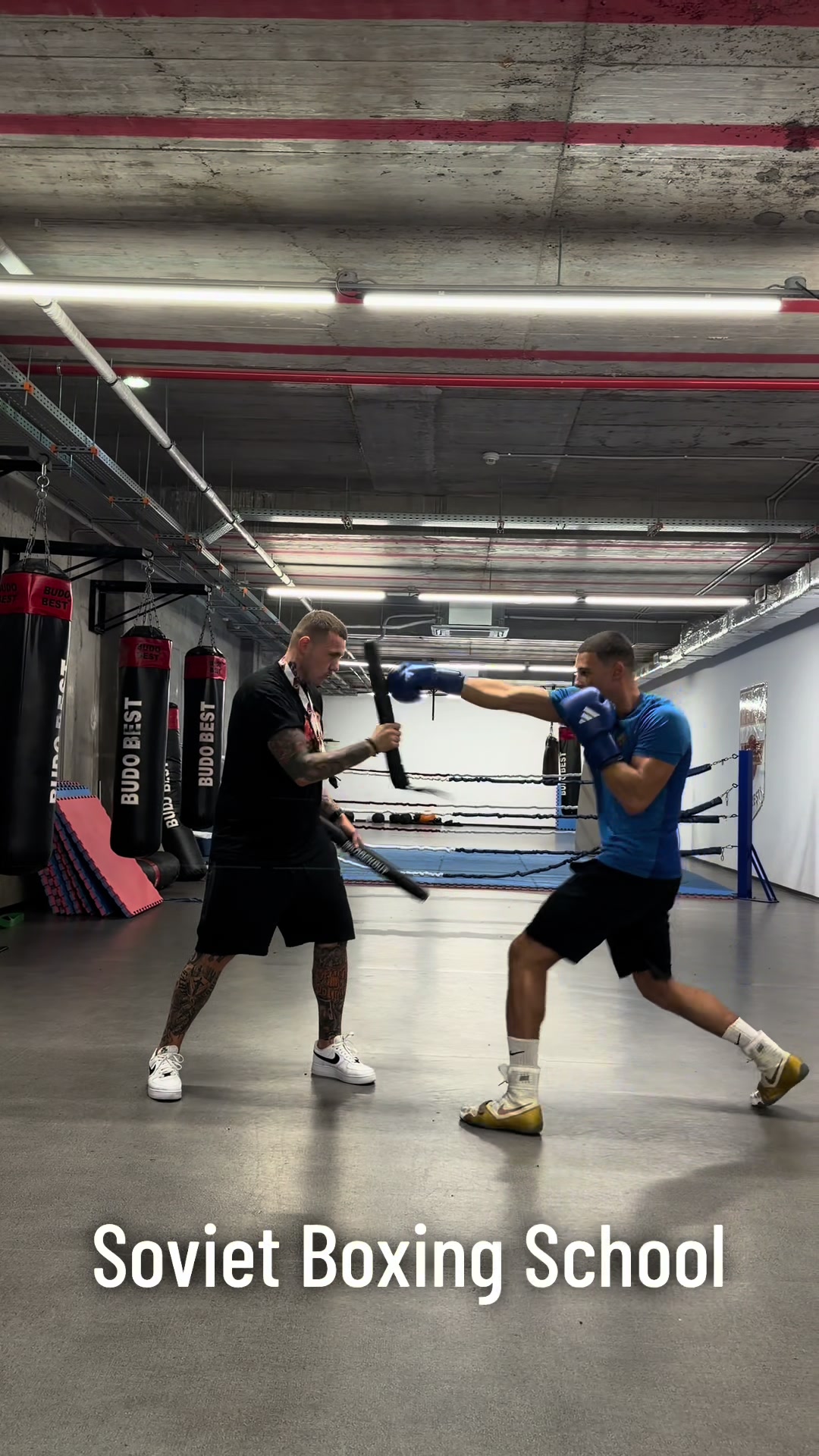 @C.S RAPID BUCUREȘTI - BOX 🥊