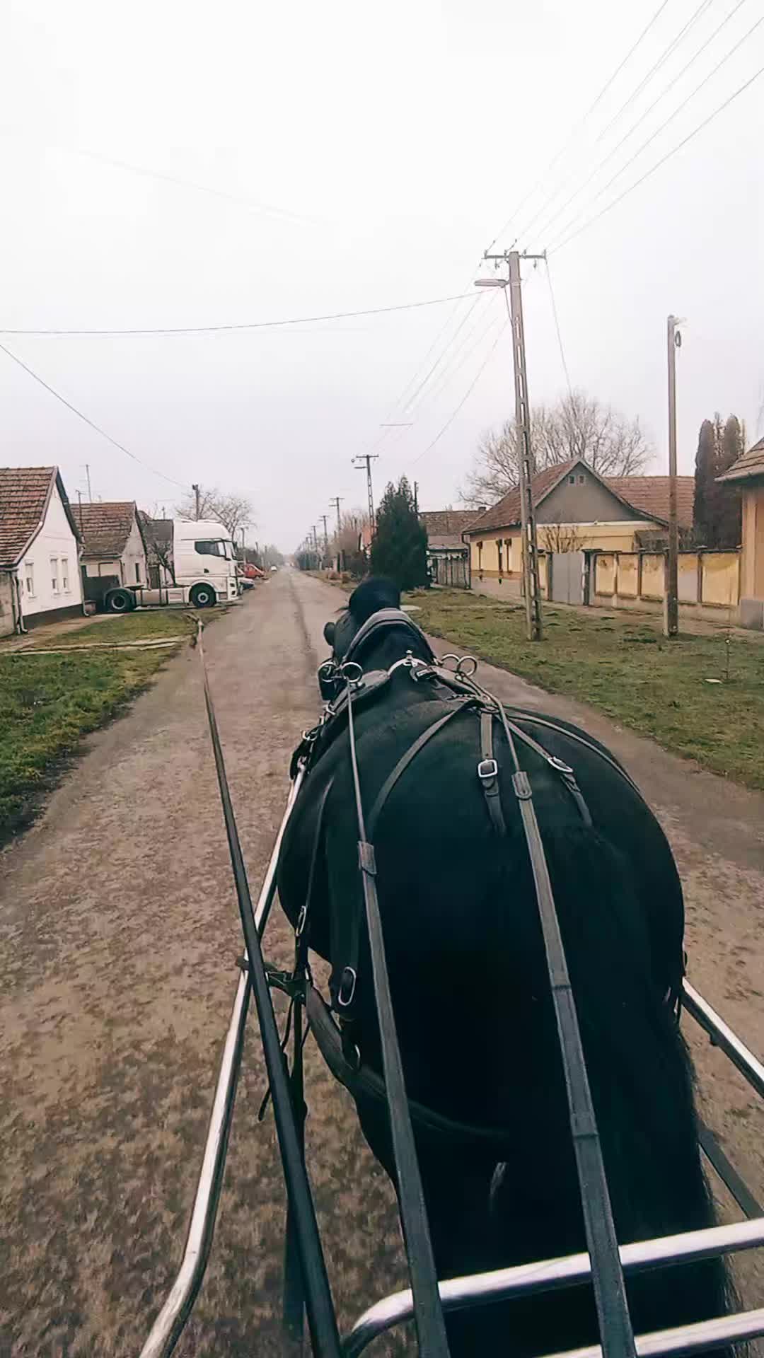 @G&aacute;bor