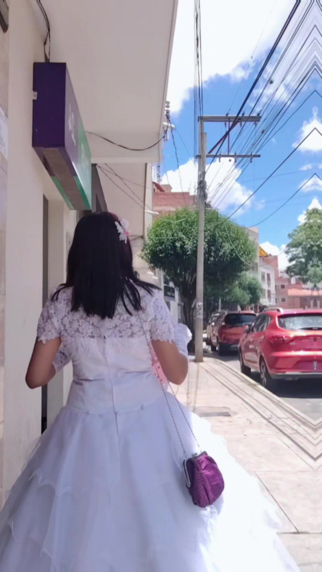 @🌹 Flor_Celeste 🩵