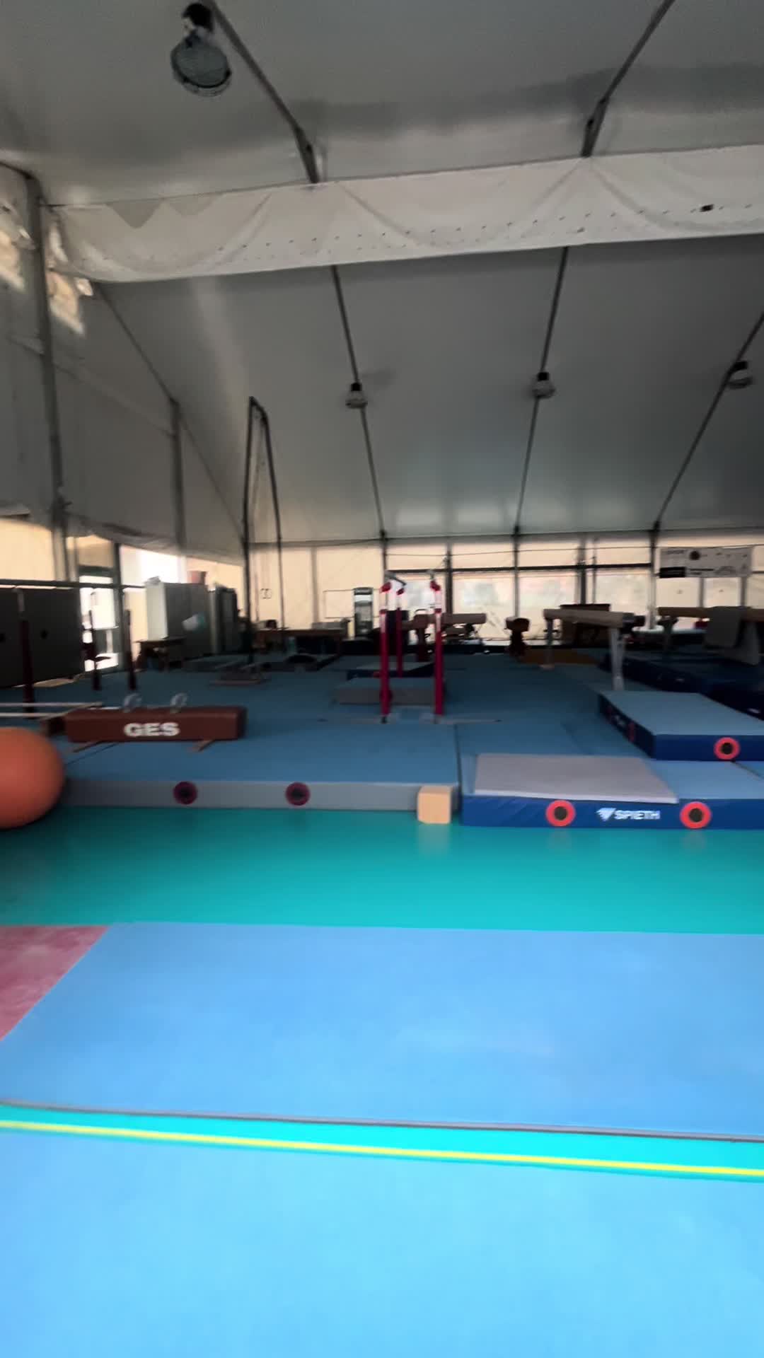@doroteaesposito_