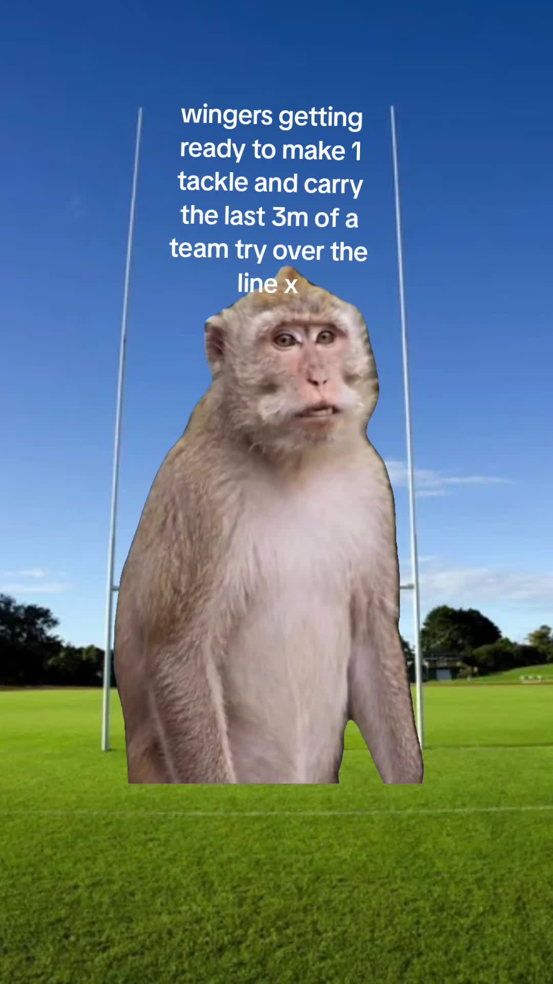 @Bee