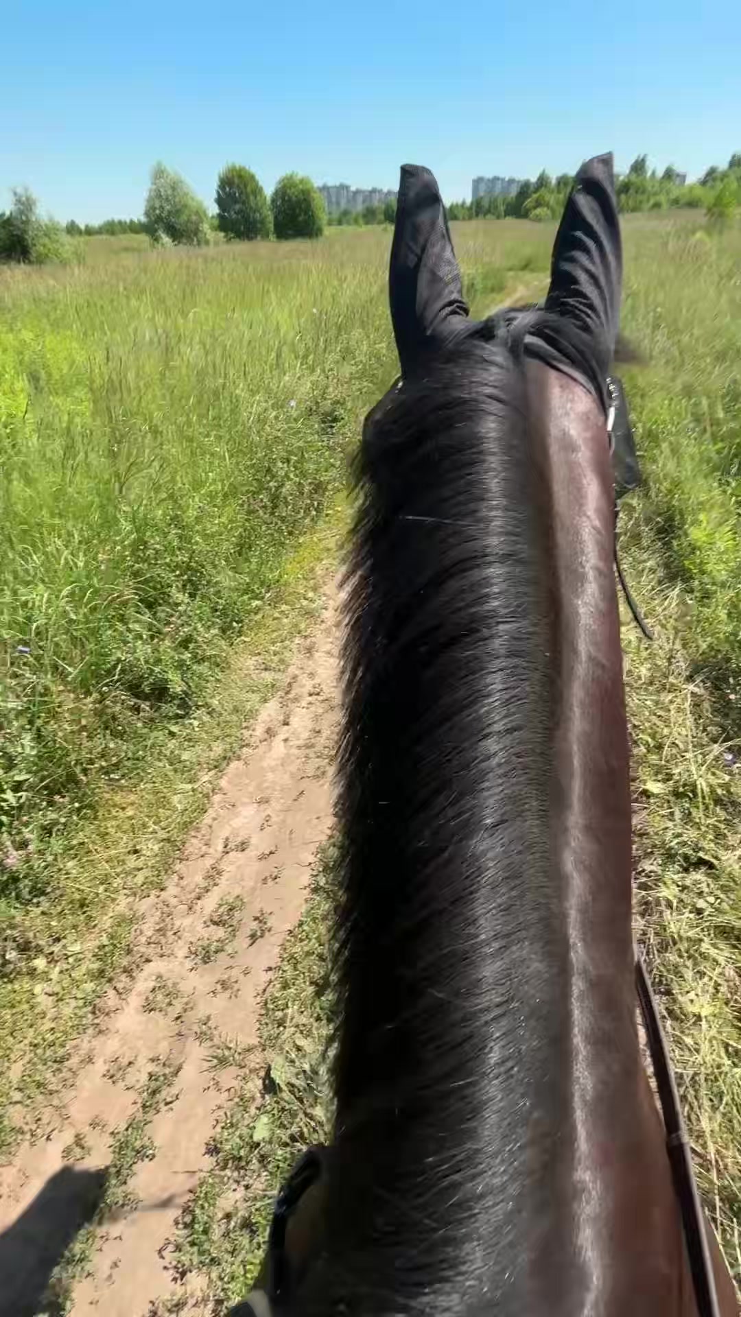 @пыликуснул