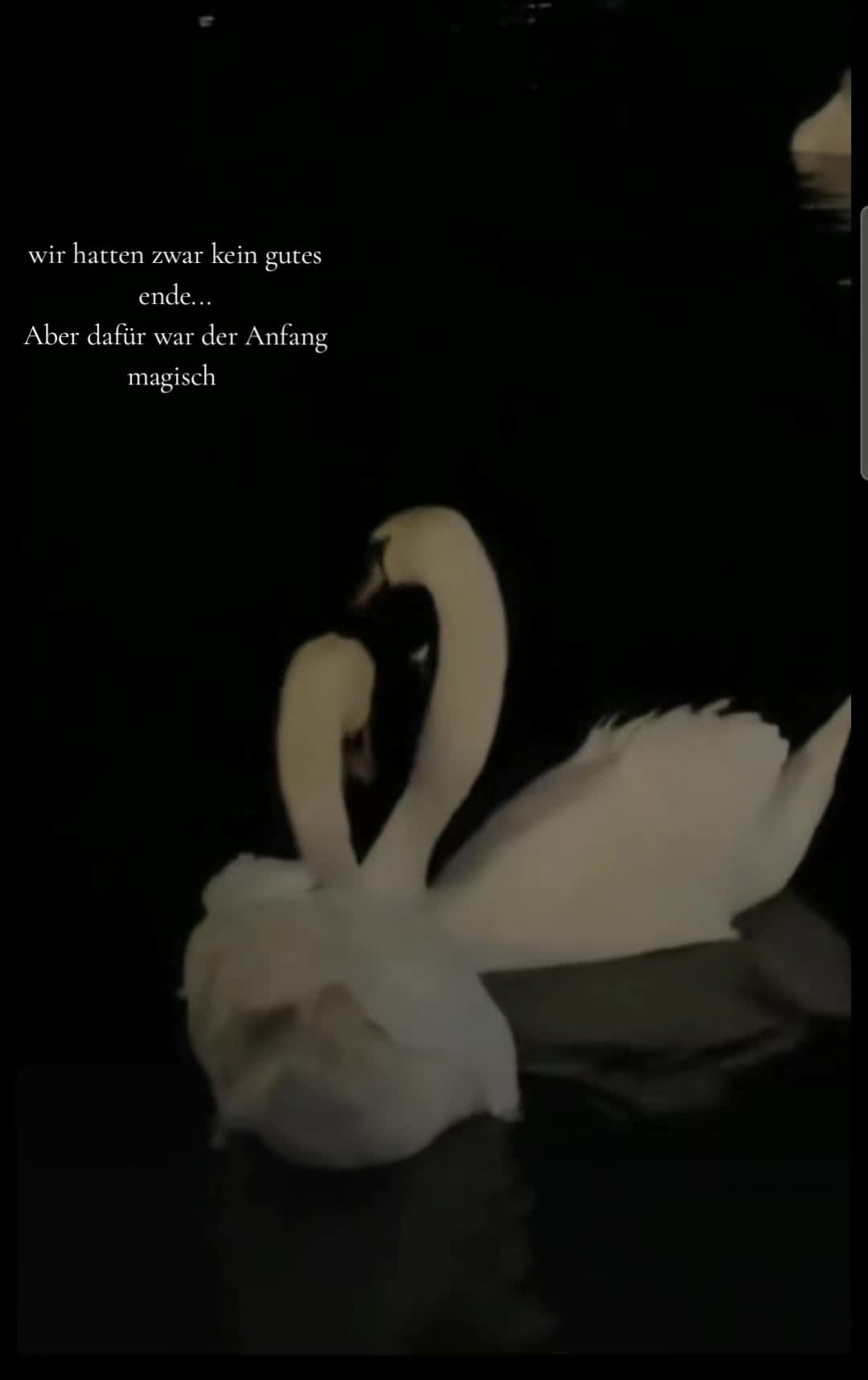 @Sophia_privat