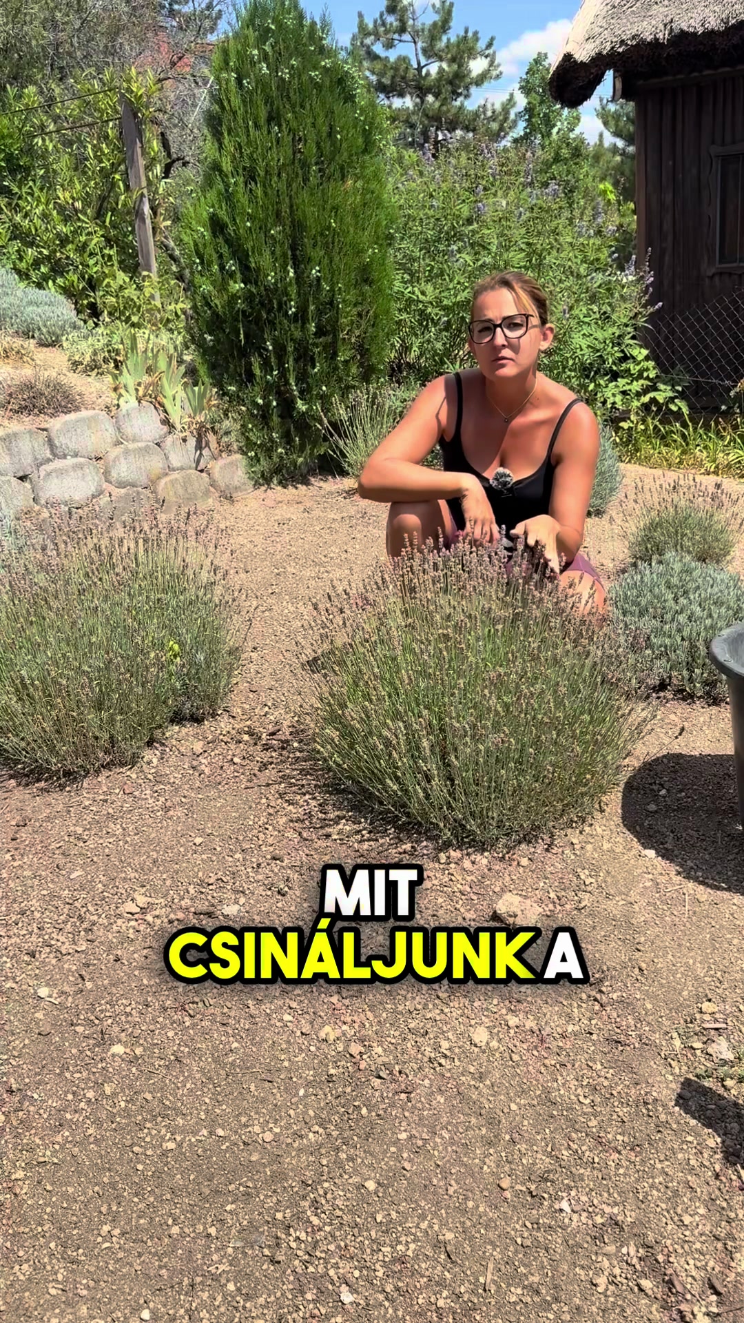 @J&aacute;mbor Fanni
