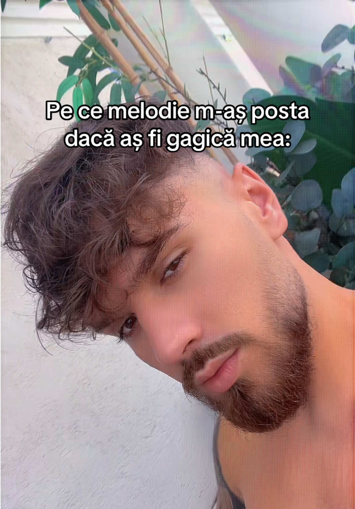 @Vasiu Mihai