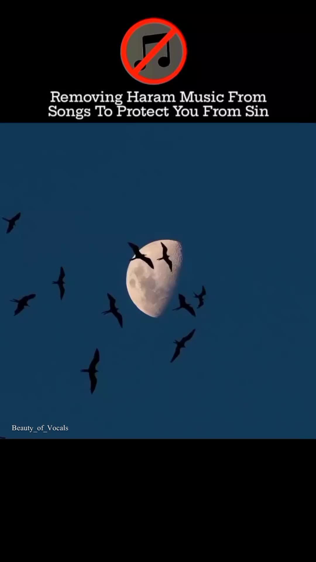 @𝐁𝐞𝐚𝐮𝐭𝐲_𝐨𝐟_𝐕𝐨𝐜𝐚𝐥𝐬