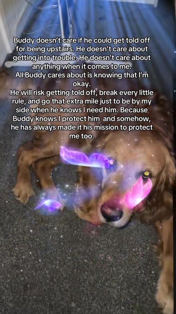 @Happy buddy