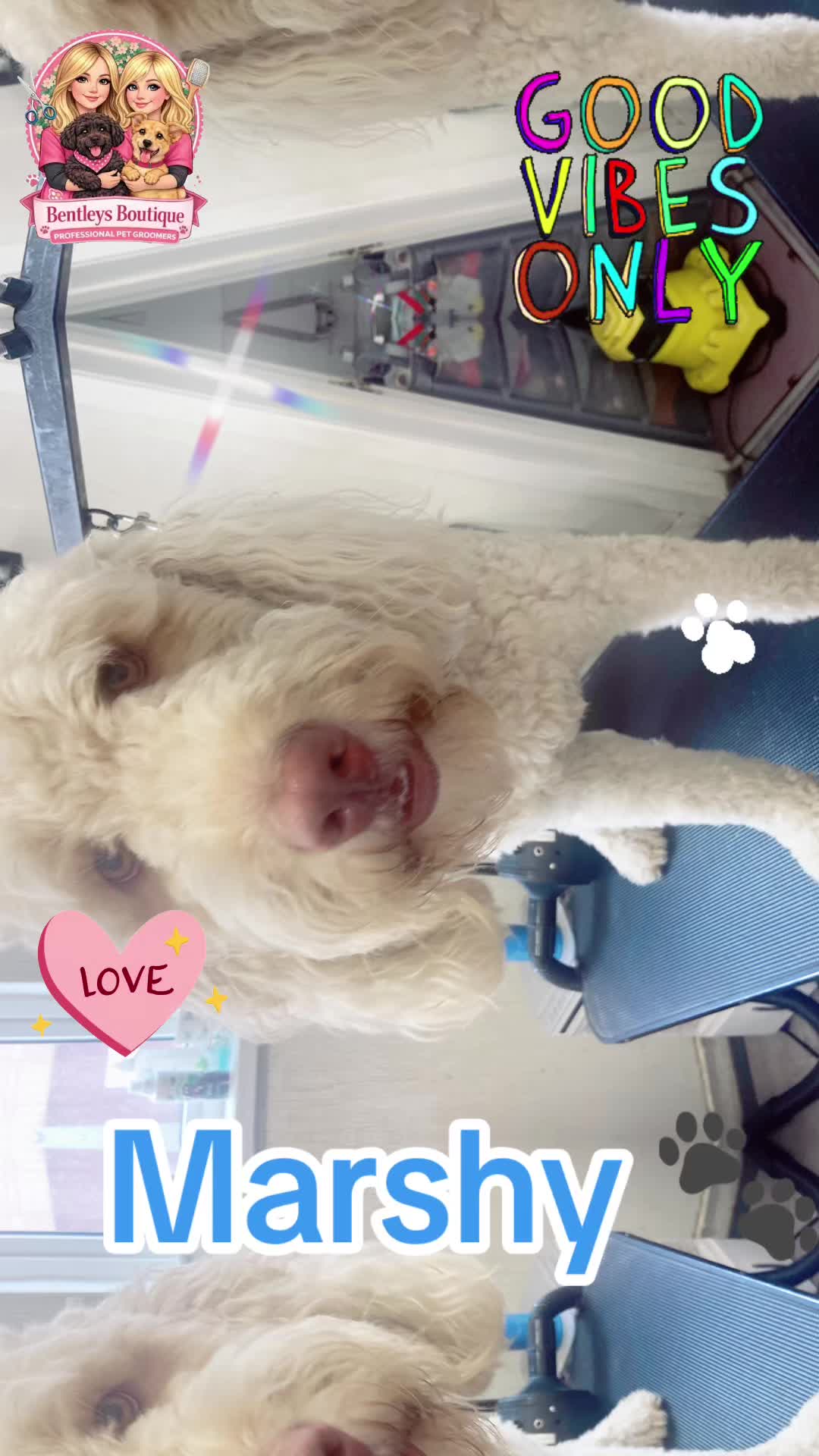 @Bentleys Boutique Pet Groomers