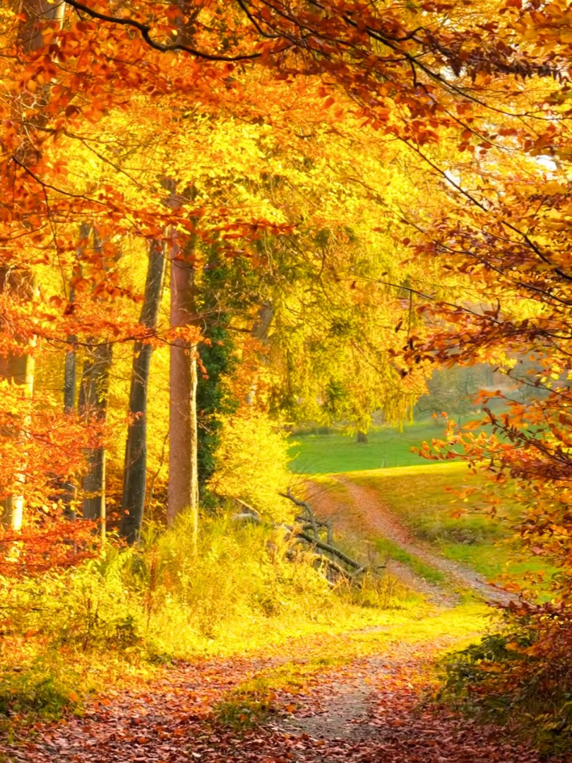 @Soothing Relaxation