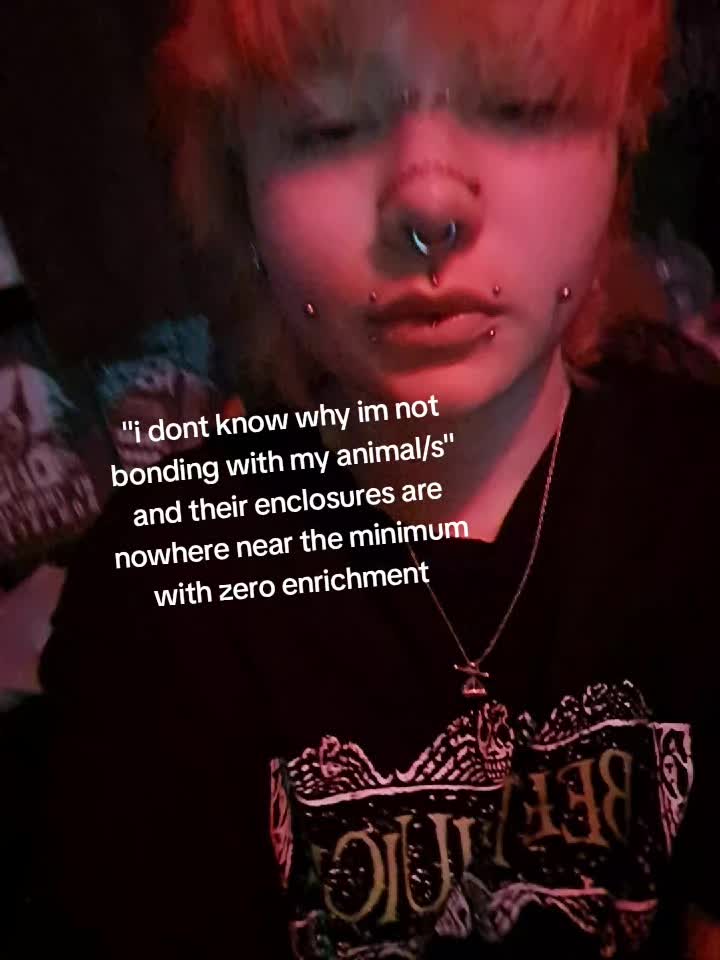 @🦷