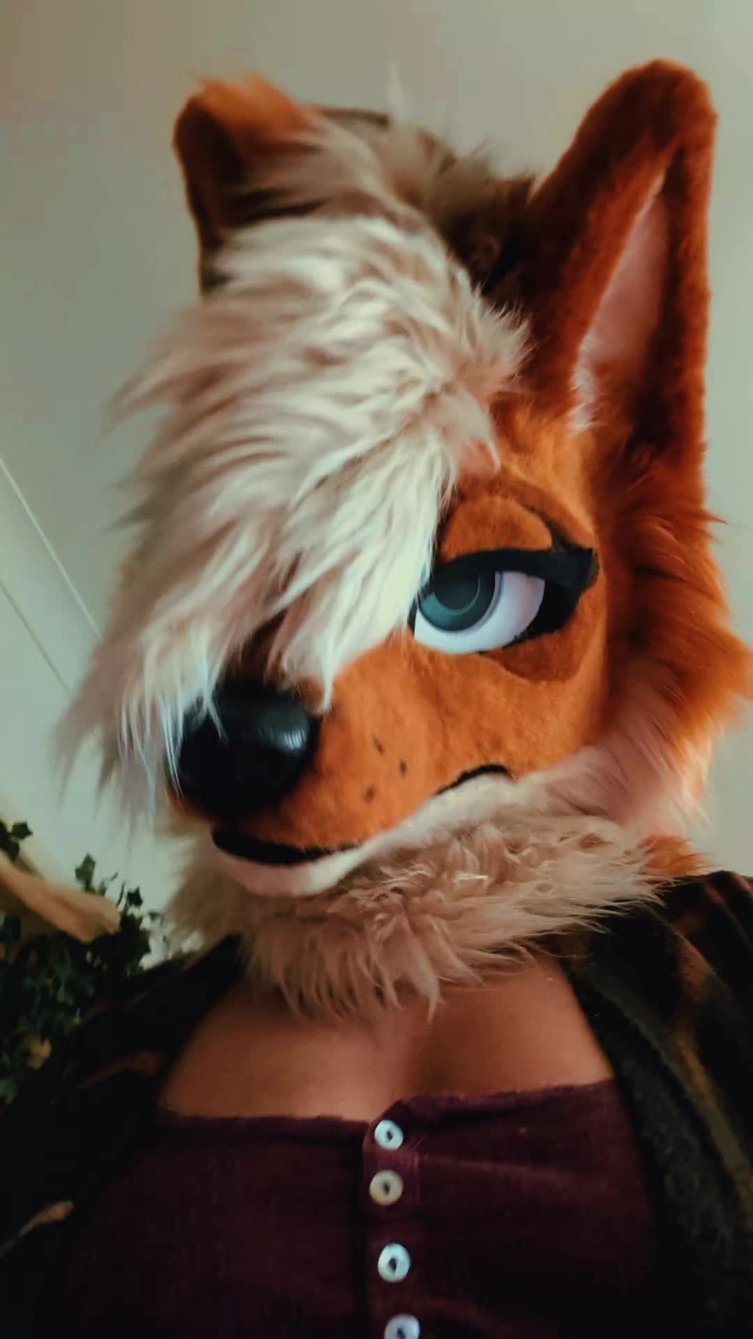 @Fen