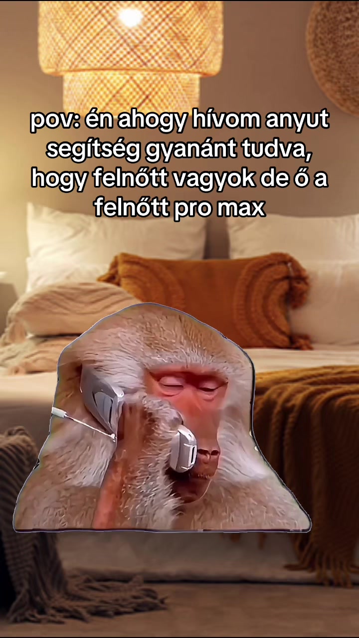 @lilii