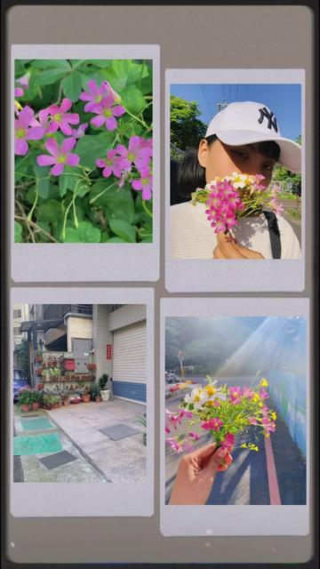 @🌷DianNS🌷